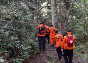 Seorang Nenek di Paku Jaya Konawe Hilang di Hutan Saat Mencari Kayu