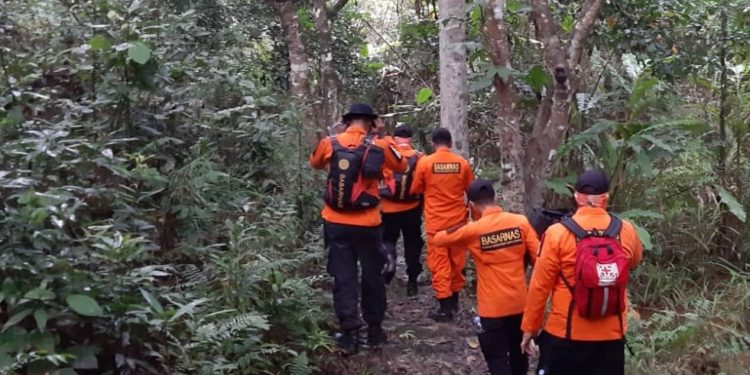 Seorang Nenek di Paku Jaya Konawe Hilang di Hutan Saat Mencari Kayu