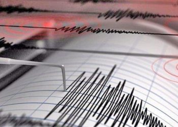 Gempa Bumi Guncang Wawonii, Tidak Berpotensi Tsunami