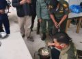 Hasil Penyelidikan BKSDA Sultra, Buaya Dibantai dan Dijadikan Santapan TKA