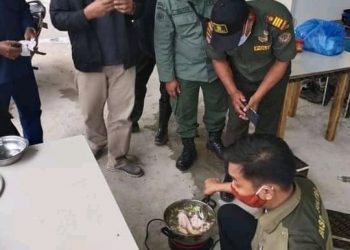 Hasil Penyelidikan BKSDA Sultra, Buaya Dibantai dan Dijadikan Santapan TKA