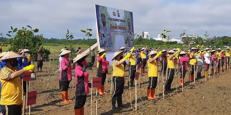 Polda Sultra Tanam Ribuan Pohon Mangrove di Teluk Kendari