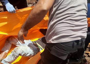 Polisi Jerat Pelaku Pembunuhan di PT WIN Konsel dengan Tiga Pasal Sekaligus