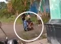 Video Dua Remaja Perempuan di Raha Berkelahi