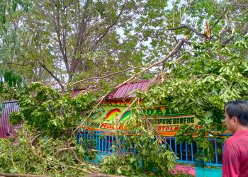 Hujan Deras Disertai Angin Kencang Landa Kota Kendari, Sejumlah Atap Rumah Warga Rusak