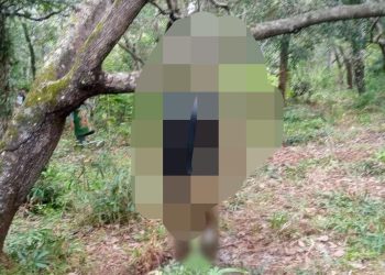 Empat Hari Hilang, Seorang Pria di Kabupaten Muna Ditemukan Tewas