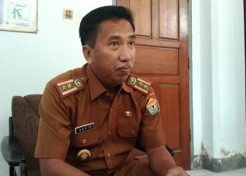 Izin Konsesi HTI dan IPPKH Sejumlah Perusahaan di Sultra Dicabut