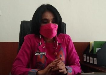 14 Daerah di Sultra Terdampak DBD, Kota Kendari Tertinggi