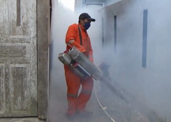 Waspada DBD, Kendari Catat 211 Kasus dan Empat Orang Meninggal Sepanjang 2021
