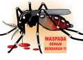 Waspada DBD, Dinkes Kendari Imbau Masyarakat Terapkan PHBS dan 3M Plus