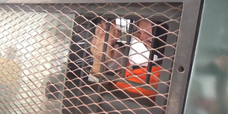 Bupati Non Aktif Koltim Jalani Sidang Perdana di PN Kendari