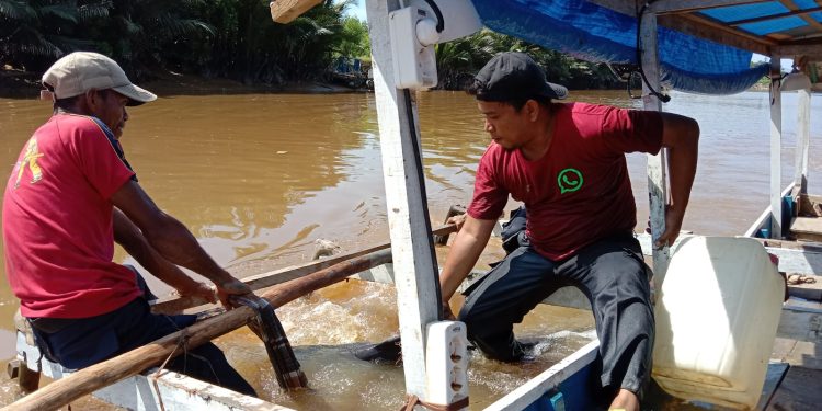 Ketgam: Tim Damkar Kendari melakukan evakuasi Lumba-lumba yang terjebak di Kali Wanggu. Foto: Ist