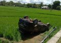 Hilang Kendali, Sebuah Mobil Terjun Bebas ke Sawah Milik Warga di Konsel