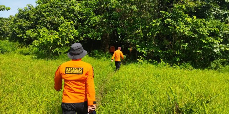Ketgam: Anggota KPP Kendari melakukan pencarian di dalam hutan Desa Galu, Kecamatan Anggolomoare, Konawe. Foto: Istimewa