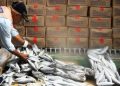 Empat Tahun Terakhir, Komoditas Ikan Menjadi Penyumbang Inflasi Terbesar di HBKN