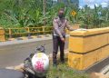 Mengantuk saat Berkendara, Warga Kolaka Tewas Usai Tabrak Jembatan di Konawe
