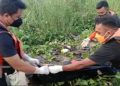 Hilang Usai Diterkam Buaya, Warga Koltim Ditemukan Meninggal