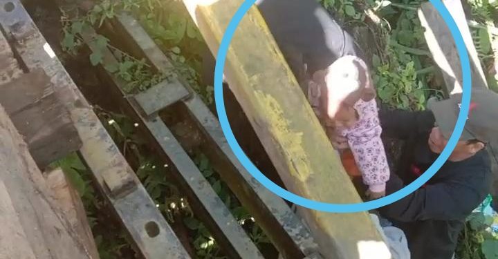 Ketgam: Warga mengevakuasi bayi yang jatuh ke bawah jembatan. Foto: Istimewa