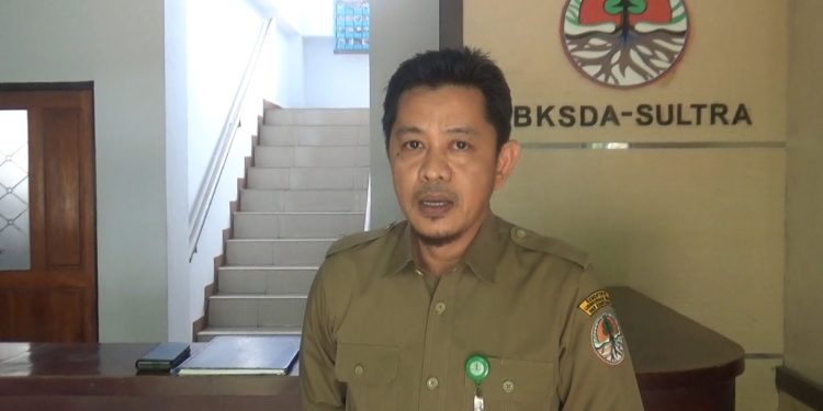 Ketgam : Kepala BKSDA Sultra, Sakrianto Djawie
Foto : Istimewa