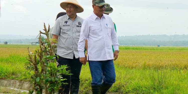 Ketgam: Aksan Jaya Putra (belakang) dan Surunuddin Dangga (depan). Foto: Istimewa