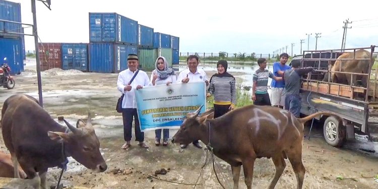 Ketgam : Penyaluran 10 ekor Sapi Kurban oleh Kantor Kesyahbandaran dan Otoritas Pelabuhan Kendari, Senin 11 Juli 2022.