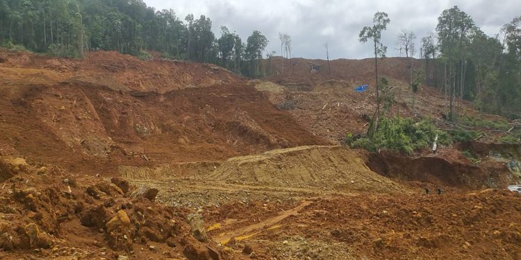 Ketgam : Kondisi hutan lindung di Konawe Utara usai digarap penambang ilegal. Foto: Herlis