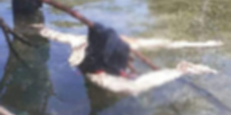 Ketgam : Kondisi mayat tanpa kepala ditemukan warga di pohon bakau Buton Utara. Foto: Istimewa