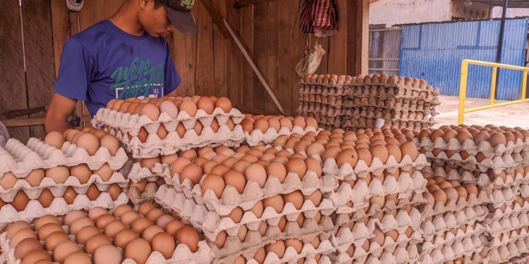Ketgam : Pasar Anduonohu, Kota Kendari.