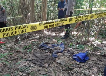 Warga Puuwatu Kendari Temukan Rangka Manusia Dalam Hutan