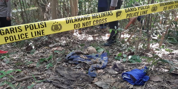 Rangka manusia yang di temukan warga Puuwatu di dalam hutan
(Foto : Annisa Aprilia Monoarfa)