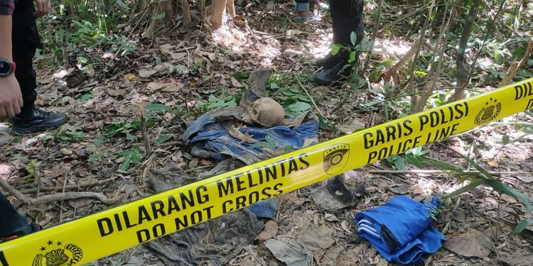 Ketgam : Temuan kerangka manusia yang ditemukan di Perkebunan Aneka Ria, Kelurahan Watulondo, Kecamatan Puuwatu, Kota Kendari pada Kamis (27/10/2022) sekitar pukul 08.00 WITA, membuat heboh warga.  Foto: Herlis Ode Mainuru