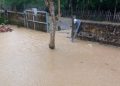 Rumah dan Ruas Jalan di Desa Kusambi Terendam Banjir, Pemda Mubar Didesak Turun Tangan