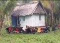 Rumah Seorang Nelayan di Muna Dipindahkan Gegara Beda Pilihan di Pilkades