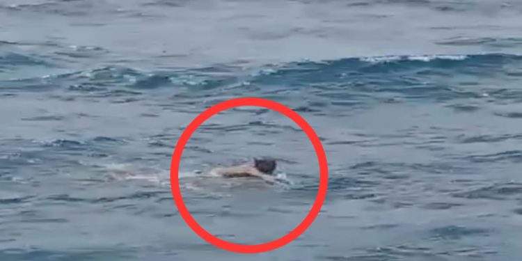 Ketgam : Detik-detik nelayan asal Lasalimu Edwar (47) di evakuasi kapal penumpang KMP Sultan Murhum di Perairan Wakatobi.