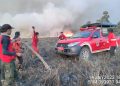 Kawasan Savana Taman Nasional RAW di Bombana Terbakar