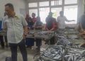 Kadin Ekspor 51 Ton Hasil Perikanan di Sultra