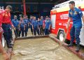 Petugas Damkar Kendari Evakuasi Ular Piton di Pemukiman Warga