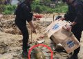 Dua Warga Kendari Temukan Bahan Peledak Diduga Bom Peninggalan Perang Dunia