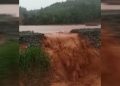 Dinilai Jadi Pemicu Banjir, WALHI Minta IUP PT Ceria Nugraha Indotama Dicabut