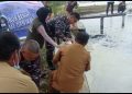 TNI AL Bina Masyarakat Pesisir Budidaya Udang Vaname dan Ikan Bandeng