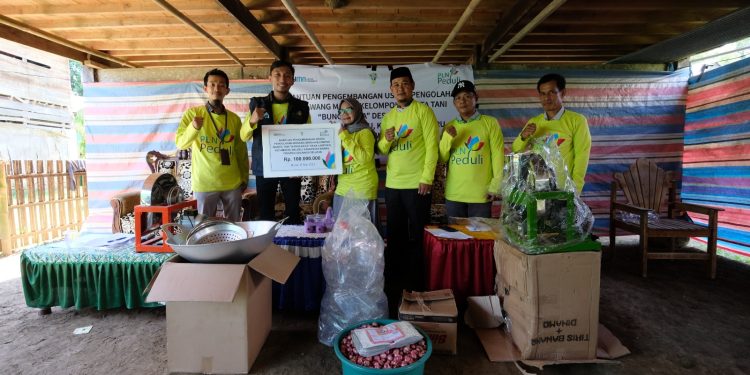 PT PLN serahkan bantuan alat produksi bawang goreng kepada kelompok wanita tani di Desa Lampoko Kecamatan Balusu Kabupaten Barru, Sulawesi Selatan.