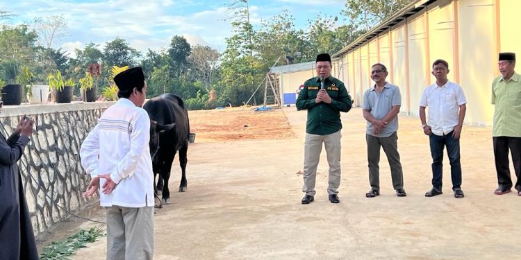 Ketua DPW Partai Bulan Bintang Sulawesi Tenggara Ruksamin serahkan 1 ekor sapi kurban kepada Pondok Pesantren (Ponpes) di Kota Kendari