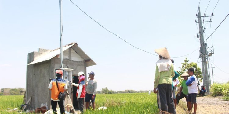 Penyalaan pasang baru listrik sumur pompa sawah di Madiun. Melalui penyalaan ini, petani yang sebelumnya menggunakan diesel untuk irigasi areal persawahan beralih ke listrik PLN.