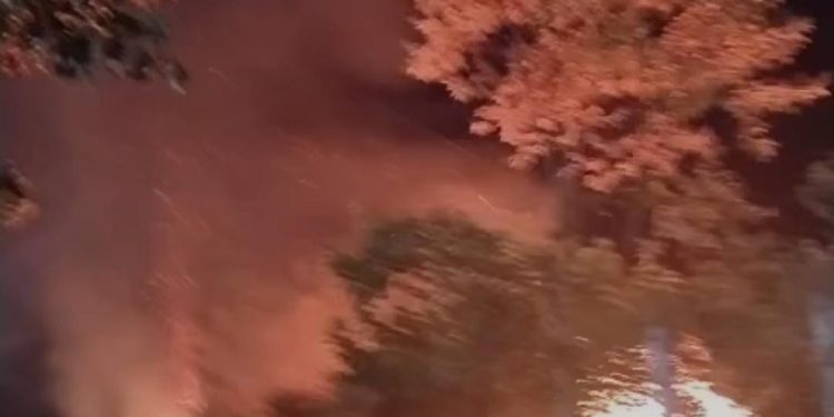 Lahan milik Kampus UHO Kendari di Jalan P Antasari Kelurahan Anduonohu Kecamatan Poasia terbakar.