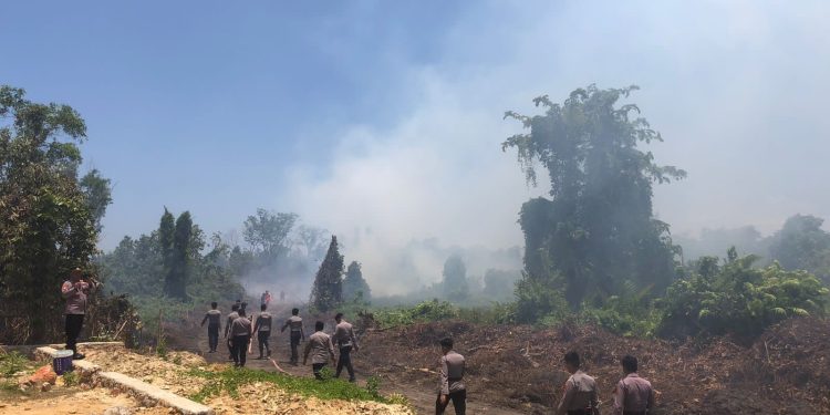 Kebakaran lahan di Kota Kendari
