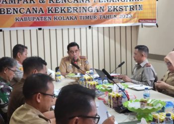 Kekeringan Ekstrim di Kolaka Timur, 3.187 Hektare Sawah Rusak dan Gagal Panen