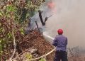 Kebakaran Meningkat 90 Persen, Damkar Kendari Catat 87 Kasus Kebakaran Lahan