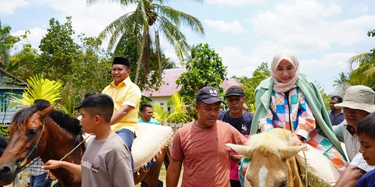 Calon Bupati Mubar La Ode Darwin bersama istri tunggangi Kuda saat berkunjung ke Desa Latugho Kecamatan Lawa.
