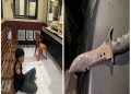 Bawa Sajam dan Ancam Pengendara, Pemuda di Kendari Ditangkap Polisi