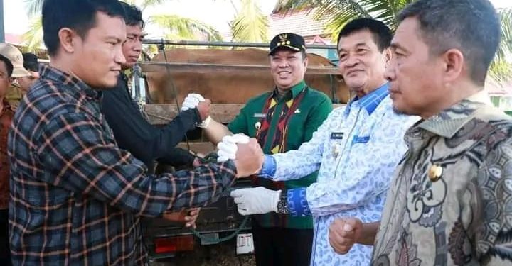 Ruksamin serahkan bantuan ternak untuk kelompok ternak di Konawe Utara.